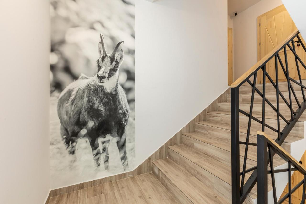 Tatrytop Apartamenty Alpejski Spa Koscielisko Bagian luar foto